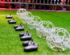 奇幻彩途,双色球,期号码秘境,大发彩票,大发娱乐,大发快三,大发彩票官网