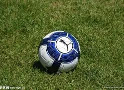 鲲鹏智慧,双色球,期精选蓝球,大发彩票,大发娱乐,大发快三,大发彩票官网