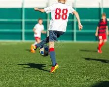 揭秘彩市,年首期双色,权威专家精,大发彩票,大发娱乐,大发快三,大发彩票官网