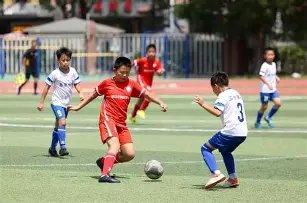 大乐透,期专家推荐,前区十码及,大发彩票,大发娱乐,大发快三,大发彩票官网