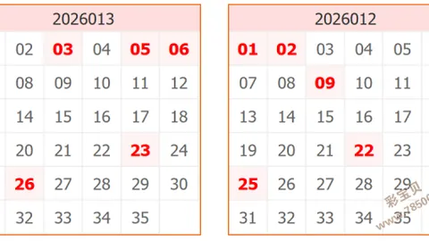 《揭秘2026015期大乐透：一区码强势回归，精准预测来袭！》