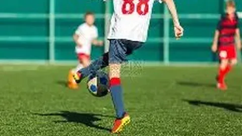 【揭秘彩市】2026年首期双色球，权威专家精准预测红球胆码，助你轻松赢大奖！