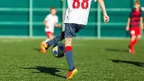 大乐透第2026019期专家推荐精选6注（质合分析）