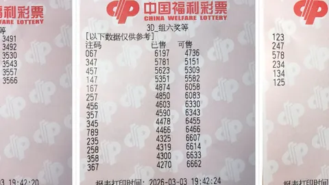 大乐透26032期专家红球胆码质合分析推荐